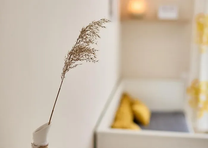 Nadszal Apartmán *